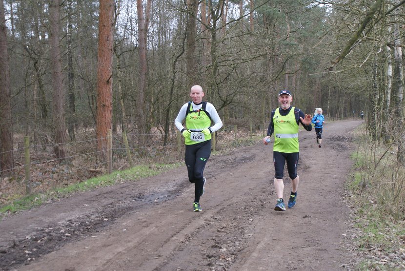 Bosloop Brecht - 19